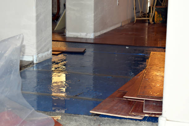 Professional Water Damage technician working in East China, MI