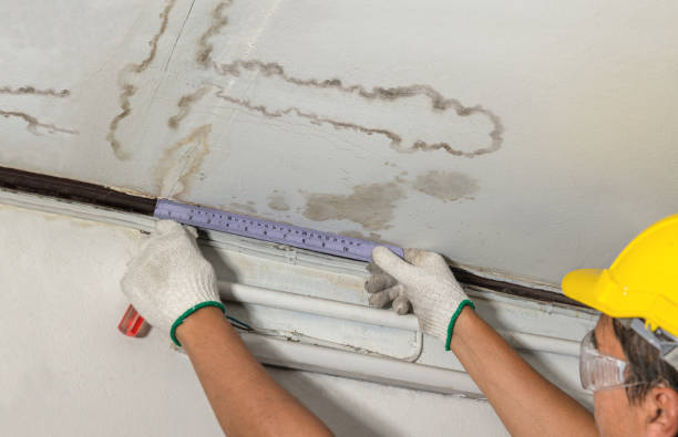 Reliable Water Damage contractor in East China, MI by Water Damage Irwin